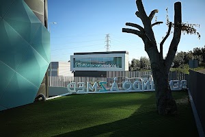 Z-MED place picture